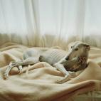 5c8a4a4f250000bd0580f353