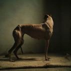 5c8a4a4f2500000704c8d952