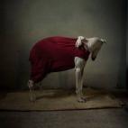 5c8a4a4f260000e104fe27e4