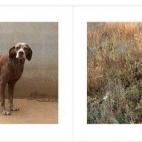 5c8a4a4f20000045046ef70b