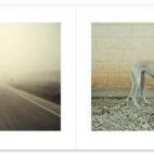 5c8a4a50250000520680f355