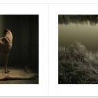 5c8a4a50260000f903fe27e6