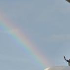 5c8aa5d5250000e203c95e09