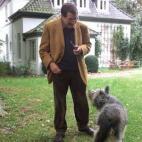 5c8aa65c3b000037066c4d21