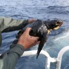 5c8aa6222300007f01236d37