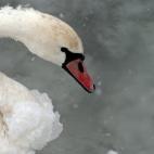 5c8ab4c13b000037066c6aba