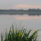 5e04a275250000ae0898f261