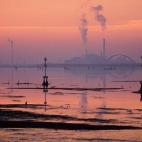 5c8ab4c42300000401238bf8