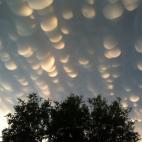 Aunque sea alarmante ver colgar del cielo ubres nubosas, es señal de que amaina una tormenta. Las nubes mastodónticas o mammatus se producen cuando las corrientes de aire descienden de forma vertical hacia el suelo, a diferencia de las forma...