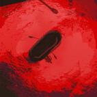 Autor: @ADAM_COCKERTON