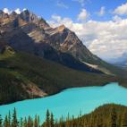 Este color imposible del Lago Peyto se produce en verano, cuando importantes cantidades de finísimas partículas glaciares se vierten sobre las aguas. Forma parte del Parque Natural Banff, en las Montañas Rocosas de Canadá. El lago mide algo ...