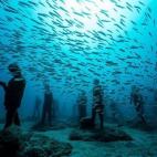 5c8ab5342400006f054c4ce5