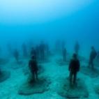 5c8ab53524000093024c4ce7