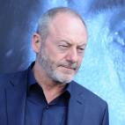 Liam Cunningham (Davos Seaworth)