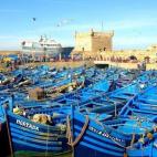 5c8aa4cc230000dd042369e4