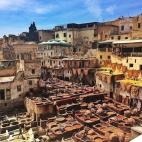 5c8aa4ce240000f404a3659c