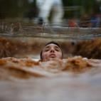 5c8aa8a6230000dd04237394