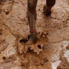 5c8aa8a82300005300e6eb67