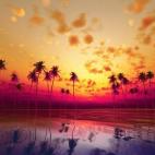 5c8aa8ee3b000037066c53a7