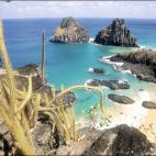 5c8aa8f1250000520681800c