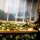 5c8a34bb260000ea04fe0f83