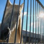 5c8a953b3b000037066c2653