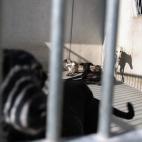 5c8a953b3b000072066c2655