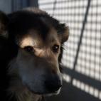 5c8a953b2400000a05a341fb