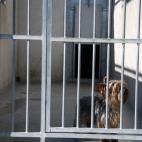 5c8a953b20000043046f538d