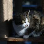 5c8a953c3b000070066c2657