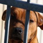 5c8a953c2300003000e6be16