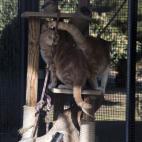 5c8a953c2300003000e6be18