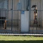 5c8a953d3b000072066c265b