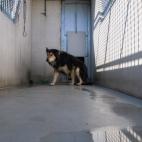 5c8a953d250000e203c937ce