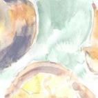 Una olla de algo más vaca que carnero, salpicón las más noches, duelos y quebrantos los sábados, lantejas los viernes, algún palomino de añadidura los domingos, consumían las tres partes de su hacienda (Quijote, Rico, 36) Y como emped...