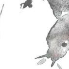 —Sancho amigo —respondió don Quijote—, a las veces tan buena suele ser una gata como una rata. —Ya entiendo —dijo Sancho—: yo apostaré que había de decir rata, y no gata; pero no importa nada, pues vuesa merced me ha entendido. ...