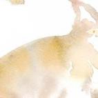 hablando con respeto, con un pastelero campo. «Un mes ha que estoy con él, y hanme dicho no sé cuántos cómo mis antecesores han parado en los de a cuatro. Quien los comió, por mi cuenta, se halló, en la de Mazagatos, el carnero moscovita ...