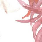 —Acá tenemos noticia, buen Sancho, que sois tan amigo de manjar blanco y de albondiguillas, que si os sobran las guardáis en el seno para el otro día (Quijote, Rico, 1133). ¿QUÉ ES? Fue muy apreciado durante el Siglo de Oro. Muchas era...