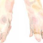 Donde le dieron de cenar un salpicón de vaca con cebolla y unas manos cocidas de ternera algo entrada en días. Entregóse en todo, con más gusto que si le hubieran dado francolines de Milán, faisanes de Roma, ternera de Sorrento, perdices de...