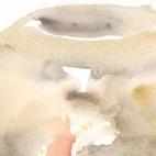 —Aquel platonazo que está más adelante vahando me parece que es olla podrida, que, por la diversidad de cosas que en las tales ollas podridas hay, no podré dejar de topar con alguna que me sea de gusto y provecho (Quijote, II, 47) ¿QUÉ...