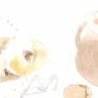 Mas lo que yo sé que ha de comer el señor gobernador ahora para conservar su salud y corroborarla, es un ciento de cañutillos de suplicaciones y unas tajadicas subtiles de carne de membrillo, que le asienten el estómago y le ayuden a la dige...