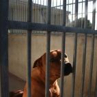 5c8a953d2400006c05a341fd