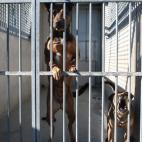 5c8a953e2400004205a341ff