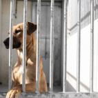 5c8a953e2500000a068151c6