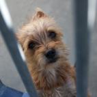 5c8a953e25000058068151c8