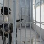 5c8a953f2300003000e6be1a