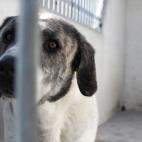 5c8a953f250000e203c937d2