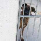 5c8a95402400004205a34207