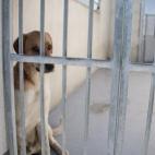 5c8a95402500001304c937d4