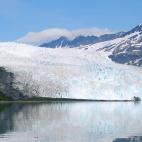 En realidad se trata de un parque nacional donde más del 60% de la superficie es hielo. De hecho, son fiordos muy diferentes ya que están rodeados en su mayor parte por glaciares. Leones marinos, focas, marsopas e incluso orcas forman parte de...
